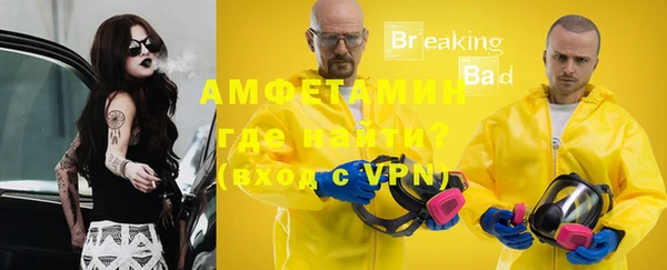 шишки Балахна