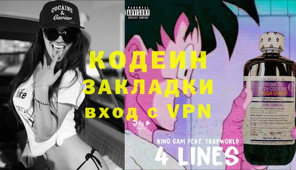 шишки Балахна