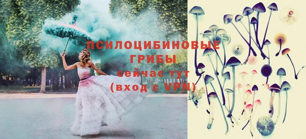 ешки Пестово