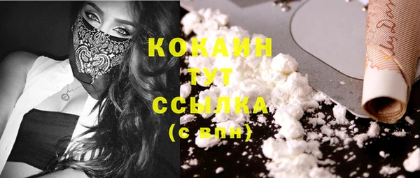 шишки Балахна